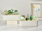 Handmade Fused Glass Succulents: Stained Glass Plant Decor