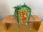 Last 1! Glass Beaded Succulent Plant, Suncatcher, Ornament