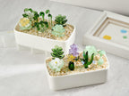 Handmade Fused Glass Succulents: Stained Glass Plant Decor