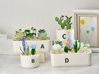 Handmade Fused Glass Succulents: Stained Glass Plant Decor