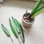 Agave Stained Glass, Handmade Plant Decor, Fake Suncatcher, Table 3d Cactus, Glass Succulent