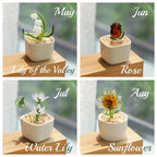Hand Blown Glass Potted Plants - Glass Potted Birth Flowers