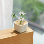 Hand Blown Glass Potted Plants - Glass Potted Birth Flowers