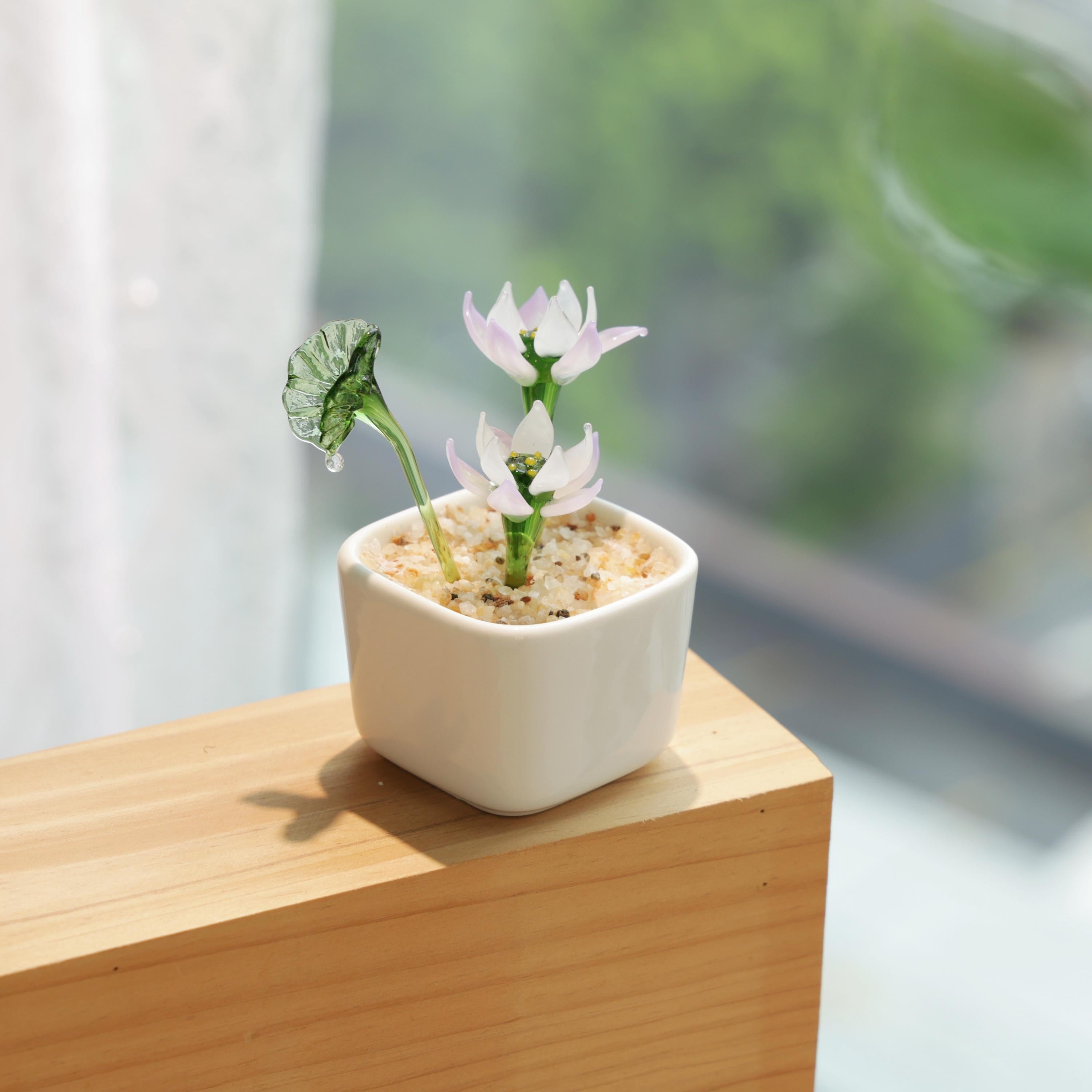 Hand Blown Glass Potted Plants - Glass Potted Birth Flowers