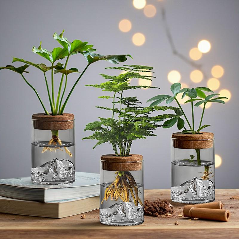 Hydroponic Glass Plant Vase – Small Desktop Green Plant Ornament, Mini Potted Office Decor