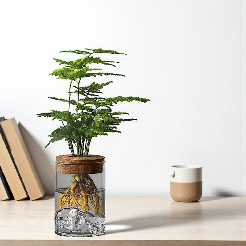 Hydroponic Glass Plant Vase – Small Desktop Green Plant Ornament, Mini Potted Office Decor