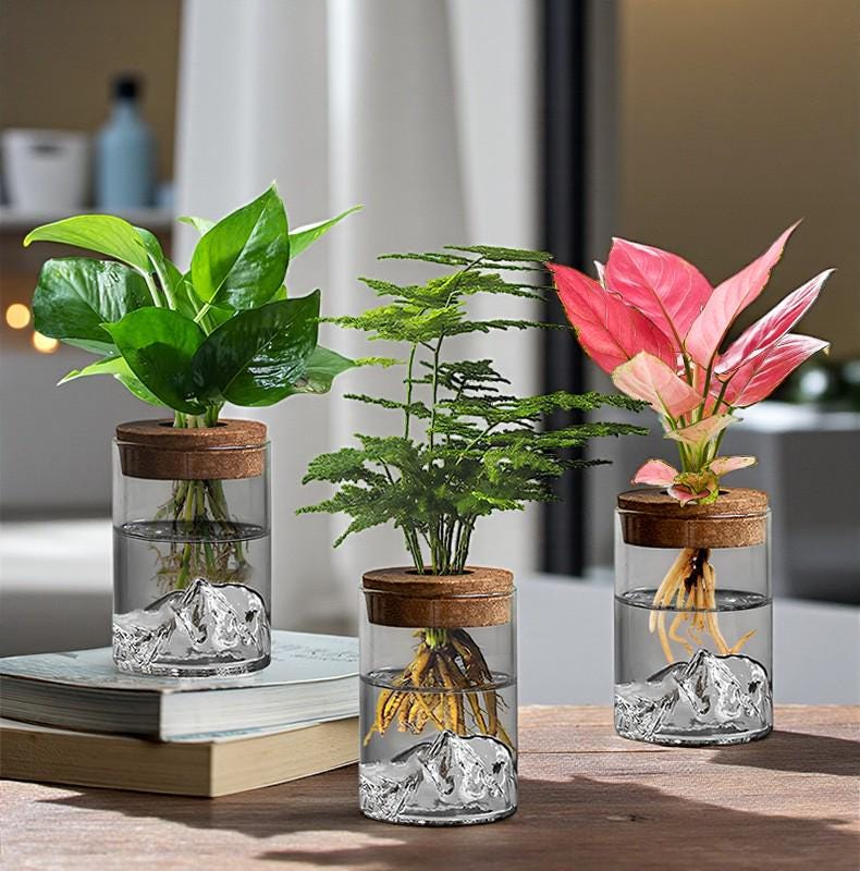Hydroponic Glass Plant Vase – Small Desktop Green Plant Ornament, Mini Potted Office Decor