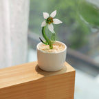 Hand Blown Glass Potted Plants - Glass Potted Birth Flowers