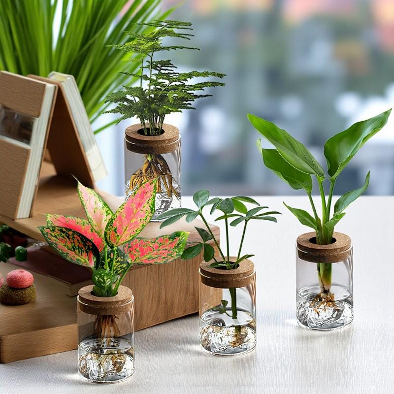 Hydroponic Glass Plant Vase – Small Desktop Green Plant Ornament, Mini Potted Office Decor