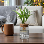 Hydroponic Glass Plant Vase – Small Desktop Green Plant Ornament, Mini Potted Office Decor