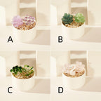 Glass Potted Plants,handmade Glass Succulents,mini Glass Plants,glass Flower,stained Glass Plants,artificial House Plant,car Glass Ornament