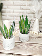 Agave Stained Glass, Handmade Plant Decor, Fake Suncatcher, Table 3d Cactus, Glass Succulent