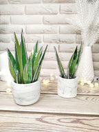 Agave Stained Glass, Handmade Plant Decor, Fake Suncatcher, Table 3d Cactus, Glass Succulent