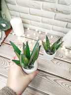 Agave Stained Glass, Handmade Plant Decor, Fake Suncatcher, Table 3d Cactus, Glass Succulent