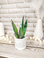 Agave Stained Glass, Handmade Plant Decor, Fake Suncatcher, Table 3d Cactus, Glass Succulent