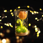 Crochet Flower Night Light In Glass Dome – Handmade Lily Of The Valley Or Single Tulip Lamp – Warm Glow Desk Decor & Eternal Gift For Her