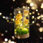 Crochet Flower Night Light In Glass Dome – Handmade Lily Of The Valley Or Single Tulip Lamp – Warm Glow Desk Decor & Eternal Gift For Her